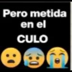Pero metida en el CULO :0
