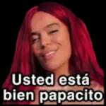 Karol g's meme