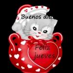 buenos días