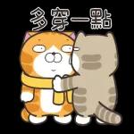 白爛貓51☆腦有動☆