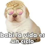 como eres menso!
