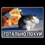 Доброе утро