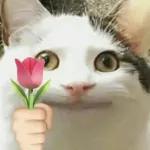 Animais com Emoji de Flor 🌹