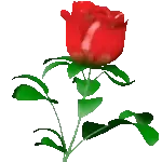 Señor dame paciencia