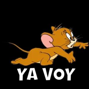 YA VOY  - getsticker.com