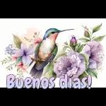 Buenos días 