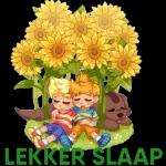 dis n plesier