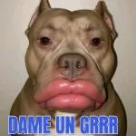 callate o te corto el pito