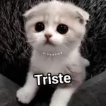Triste