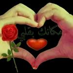 2w
الله
صباح
بكل خير