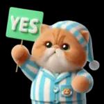 แมวขี้โมโหในชุดนอนสีอ่อน