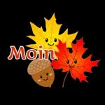 Auf unsere Freund-ch OUT Du und Ich.., Freunde