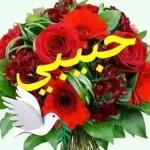 حفظ لكم الله من كل ســوء 