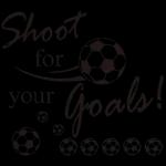 my heart is on that field