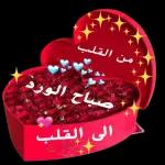 اللغه العربيه