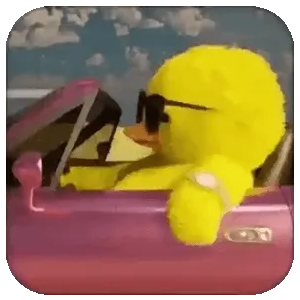 MLp0R8