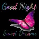 Good Night