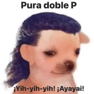 ZviRJT