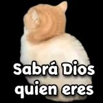 hola