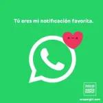 mi notificacion favorita