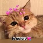 te quiero💘