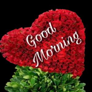 Good Morning - getsticker.com