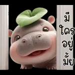 หมูดุ้งฮิปโปตัวกลมใบไม้
