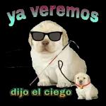 enojo 