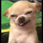 hola