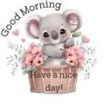 Good❤️morning