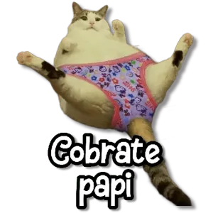 9rxaips