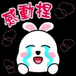 蹦兔聊日常2~~~~
