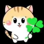 Cats! For reply