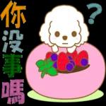 白貴賓犬表情包