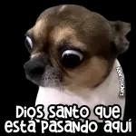 cuenta el chisme
