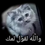 والله لقول الملك