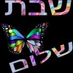 הכל טוב הכל טוב