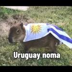 esaa