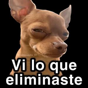 @paraguayita_01 Vi lo que eliminaste - getsticker.com