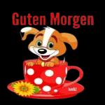 Moin Moin!🌹