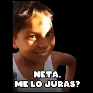 NETA, ME LO JURAS? - getsticker.com