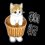 甜點貓咪：肉球光线发射