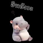 ฮิปโปรักดึงดงบิ๊ก