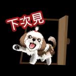 西施迪迪 (日常生活及問候篇)