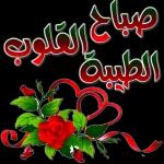 متاز
بارك الله فيك
ئے