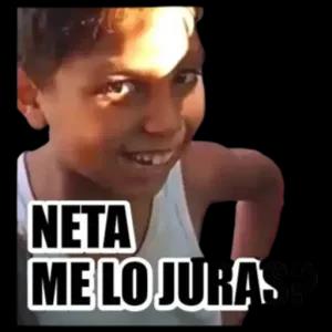 neta me lo jura - getsticker.com