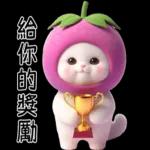Mangosteen Meow