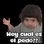 TAS PENDEJO →