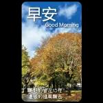 早安這世界(卡地夫) 5