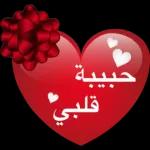 اللغه العربيه